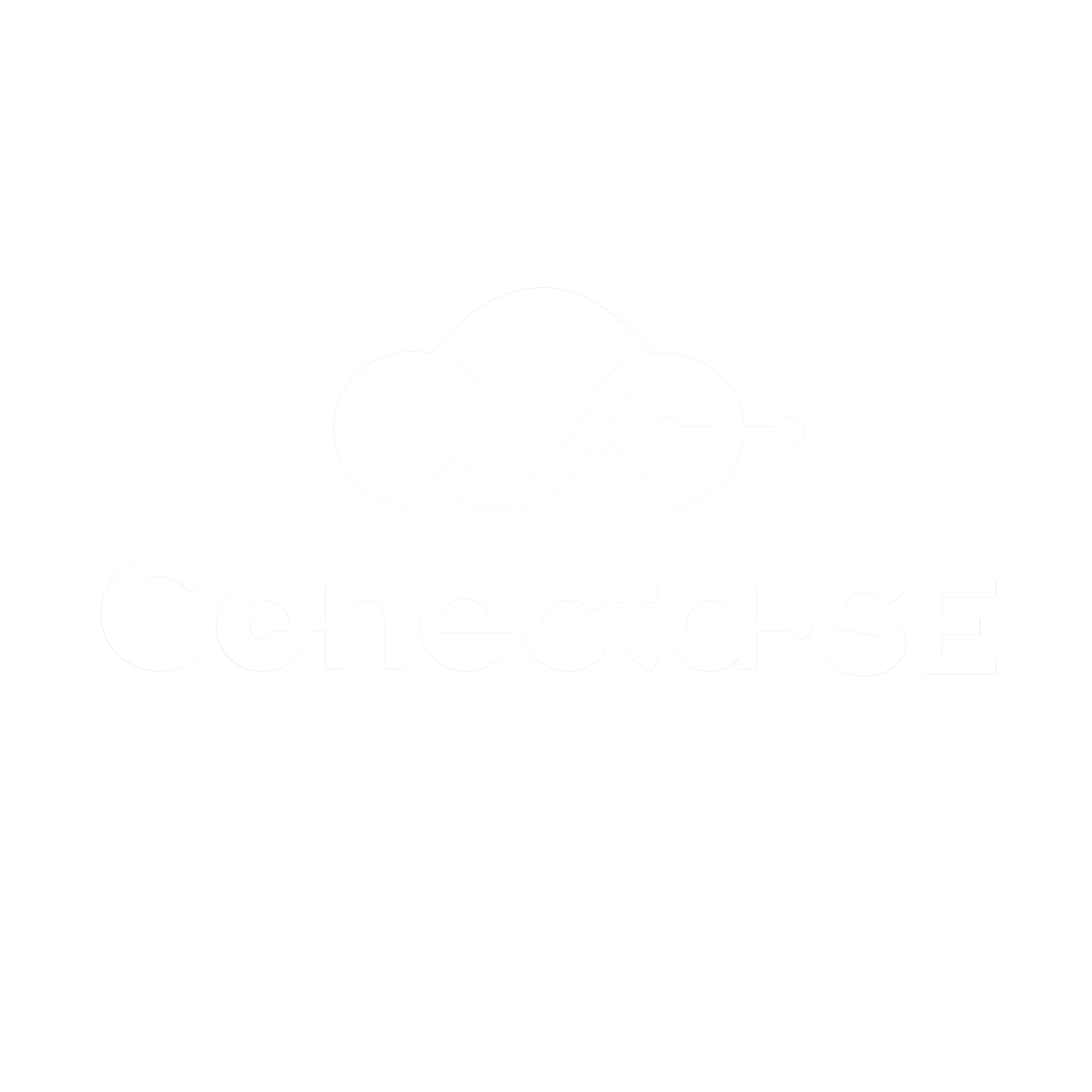 Conecta-SE Logo